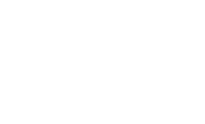 WEB logo white - bottom tag